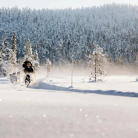 Apart Otel Lapland Ounasvaara 4*