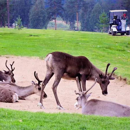 Lapland Ounasvaara شقة فندقية