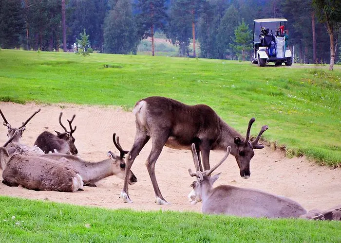Lapland Ounasvaara Aparthotel